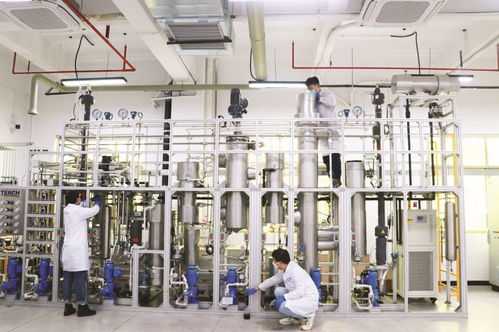 4家代表性省級重點實驗室及新型研發(fā)機構(gòu)聚力創(chuàng)新研發(fā) 賦能惠州做強 2 1 現(xiàn)代產(chǎn)業(yè)集群