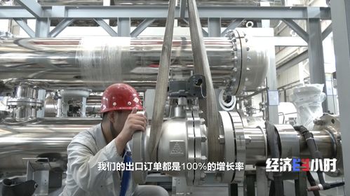 爆發式增長 國產氫能產品 火 到國外 售價僅為歐洲同類產品一半