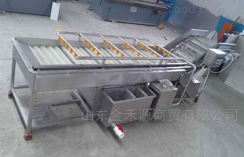 秋意正濃公司 引領產業革新，新型果蔬清洗風干流水線與先進汽輪機同步上市